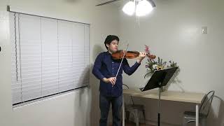 Bartok Viola Concerto mvt I Excerpt [upl. by Ellan151]