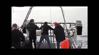 wwwSharkDiveAdventurescom  Cage Dive with Great White Sharks [upl. by Gerger70]