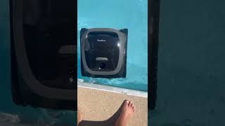 Our new robot pool cleaner Linked in my Amazon favs robotcleaners pool [upl. by Edin]