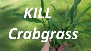 THE CRABGRASS CONTROL VIDEO  Pre and Post Emergent [upl. by Andromada]