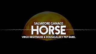 Salvatore Ganacci  Horse Virgo amp Domagalsky BĄBEL MIX [upl. by Buschi]