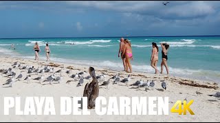 Playa del Carmen Playacar Beach walking tour 4k 60fps [upl. by Marilyn]