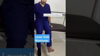 Lower limb Myotomesyoutubeshortsphysiotherapytreatmentdoctormyotomes [upl. by Ajnek]