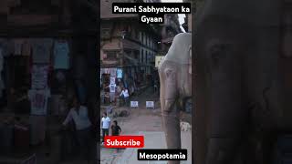 Purani Sabhyataon ka Gyaan Mesopotamia everyone facts youtubeshorts viral shorts shortvideo [upl. by Euqram]