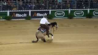 HF Mobster Individual Run at the 2014 World Equestrian Games in Normandy France [upl. by Nerraj656]