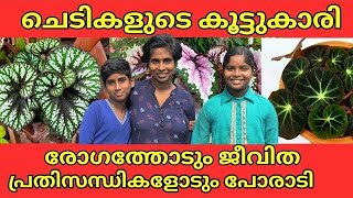 Largest Begonia collections in Kerala  How to grow and propogate Begonia Amazing Begonia plants [upl. by Ettennad192]