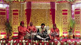 Best live Wedding shehnai player in delhincr 9311228338 [upl. by Noirad]