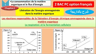 les réactions responsables de la libération dénergie emmagasinée dans la matière organique partie 1 [upl. by Waldo]