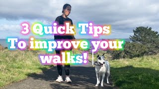 3 tips on How to improve walking your dog and stop them pulling [upl. by Kuth837]