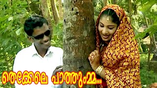 തെക്കേലെ പാത്തുമ്മ  Malayalam Mappila Songs  Malayalam Album Songs 2015 HD [upl. by Ynnek]