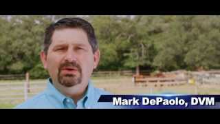 Horse Hair Analysis by Mark DePaolo DVM [upl. by Thurman]