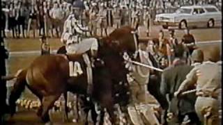 SECRETARIAT  1973 Kentucky Derby  Part 4 CBS [upl. by Ellata79]