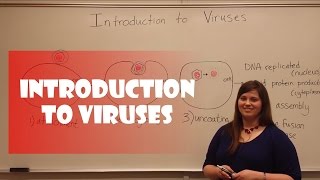 Introduction to Viruses [upl. by Akkina]