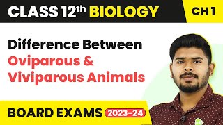 Class 12 Biology Ch1 DB Oviparous amp Viviparous Animals  Reproduction in Organisms 202223 [upl. by Assital]