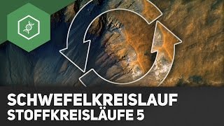 Schwefelkreislauf – Stoffkreisläufe 5 [upl. by Lasyrc]