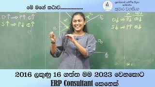 පන්තියෙ අන්තිමය ගත්ත මම දැන් ERP CONSULTANT කෙනෙක් [upl. by Inail]