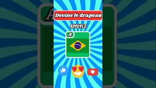 🔍🌍 Saurezvous deviner le vrai drapeau  🇧🇷🇩🇪🇫🇷 Testez vos connaissances [upl. by Akemihs]