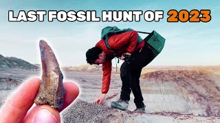 Dinosaur Fossil Hunting in the Badlands in December with Northern Fossil Hunting [upl. by Petrie]