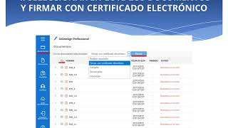 Cómo firmar en lote documentos en XolidoSign Professional [upl. by Erastus492]