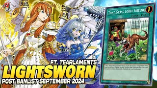 Deck Lightsworn Tearlaments Post Banlist EDOPRO  Replays 🎮  Decklist ✔️ [upl. by Ahseram]