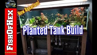 125 Gallon Planted Tank Build And A Two Month Update [upl. by Brnaba]