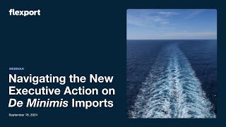 Navigating the New Executive Action on De Minimis Imports [upl. by Shana]