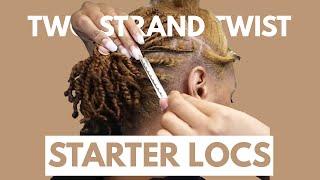 Two Strand Twist Starter Loc Tutorial  DaishaView [upl. by Iinden85]