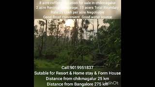 8 acres coffee plant for sale in chikmagalur 2 acers Revinue encouragement Total Boundary 10 acers [upl. by Leonor22]