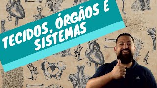 TECIDOS ÓRGÃOS E SISTEMAS [upl. by Brian]