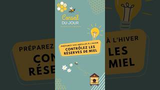 💡Préparez vos abeilles à l’hiver  Contrôlez les réserves de miel [upl. by Gerk]