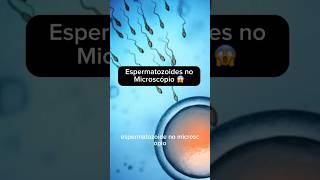 Espermatozoides no microscópio 😳curiosidades biologia interessante viral [upl. by Eohce]