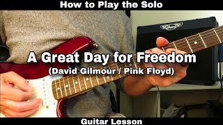 How to Play the Solo  A Great Day For Freedom  David Gilmour Pink Floyd [upl. by Ahsiner]