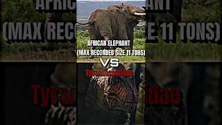 Elephant VS Tyrannosauridae dinosaur tyrannosaurusrex elephant prehistoric trending shorts [upl. by Barabas749]