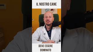 Il cane deve essere dominato [upl. by Whitehouse]