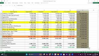 Cómo construir un flujo de caja efectivo para tu plan de negocio en Excel [upl. by Enneite]