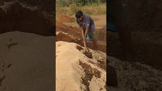 Mixing of rice husk with soil for strengthening of brickbrickmaking villagelife shorts [upl. by Hassi368]