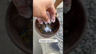 Congelei as bolinhas de gel com SAL 😱❄️🧂 irmãosmedeiros [upl. by Bekah]