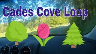 Exploring Cades Cove By Car A Scenic Drive Through The Smokies [upl. by Asilad]