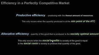 Perfect Competitive Market Efficiencies [upl. by Emiline]