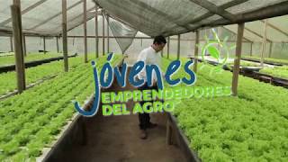 Jóvenes Emprendedores del Agro  Danilo Mondaca [upl. by Fawna407]