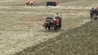 Plowing with Yaks [upl. by Knoll]