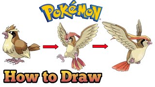 How to Draw Pidgey and all Evolution pidgey pidgeotto pidgeot draw drawing [upl. by Humfried]