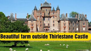 ☝️Most Beautiful Farm outside Thirlestane Castle 😍 [upl. by Lilhak389]