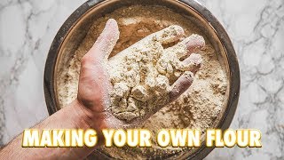 How To Make Your Own Flour At Home [upl. by Nomyar]