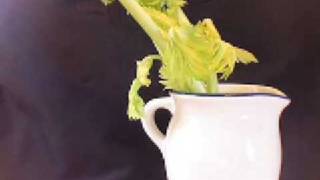 Turgor Pressure in Celery stalks [upl. by Riek]