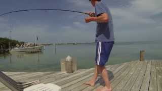 Bonefish fishing around Caye Caulker [upl. by Celestine112]