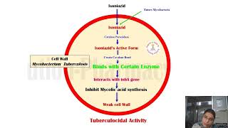 Drugs acting on anti tubercular agents PharmacologyIII UnitIII [upl. by Harleigh]