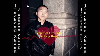 Jincheng Zhang  Marrow I Like Birds Official Audio [upl. by Leopoldine13]