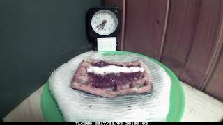 Decomposition of Waffle  time lapse with jam and whipped cream gofr rozkład [upl. by Arri]