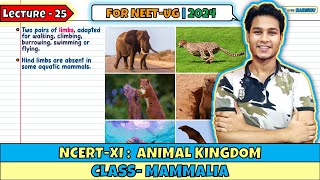 Lec 25 Class Mammalia Animal Kingdom Class 11 NEET 2024 [upl. by Tharp]